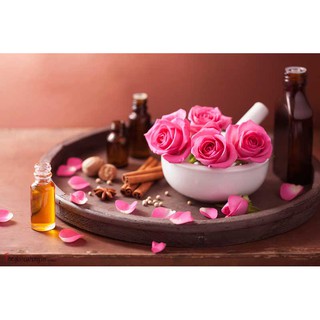 Tinh dầu hoa hồng 100ml Mộc Mây