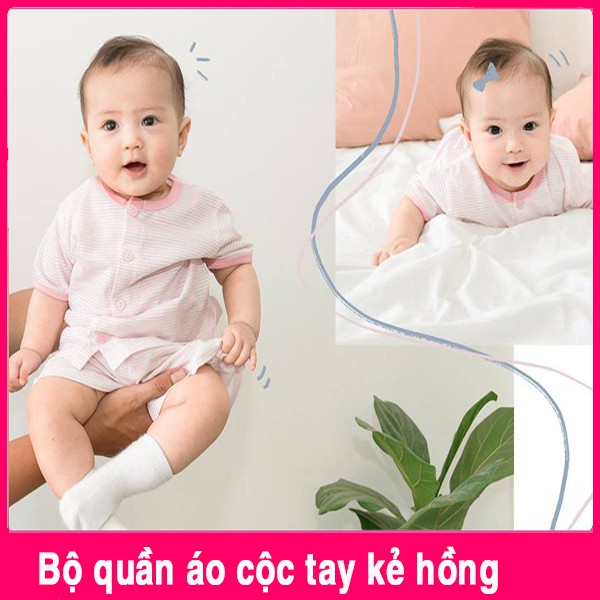 [MIO HÈ] Bộ Quần Áo Cộc Tay Miomio Cài Giữa Cho Bé Gái - Mio Việt Nam