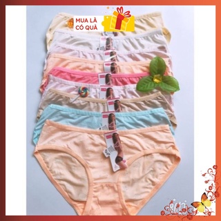 Combo 5 -10 quần lót thái 810 thông hơi, thoáng mát, co dãn tốt