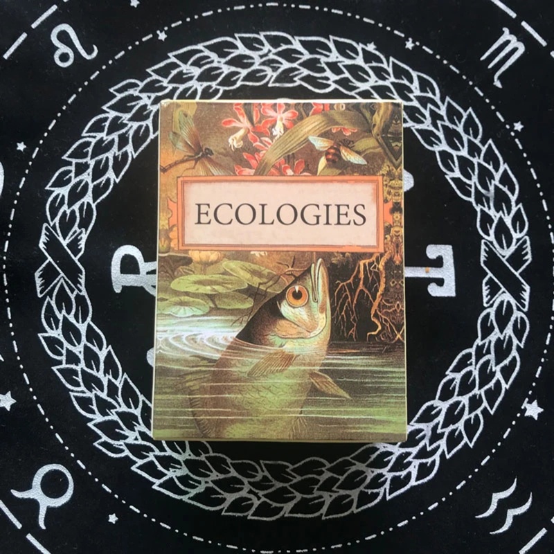 Bộ Bài Tarot Cổ Điển Độc Đáo