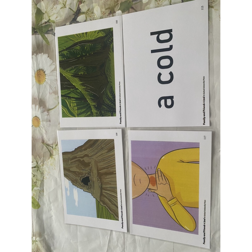 FLASHCARDS FAMILY AND FRIENDS 4 - phiên bản 2nd- 138 thẻ ép plastics