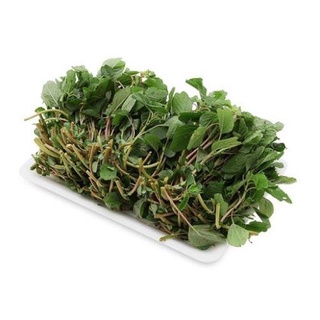 Hạt Giống Rau Dền Cơm - Gói 10 Gram