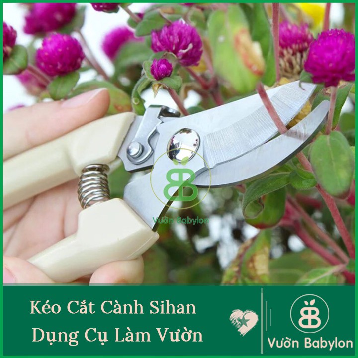 Kéo Cắt Cành, Kéo Tỉa Cây