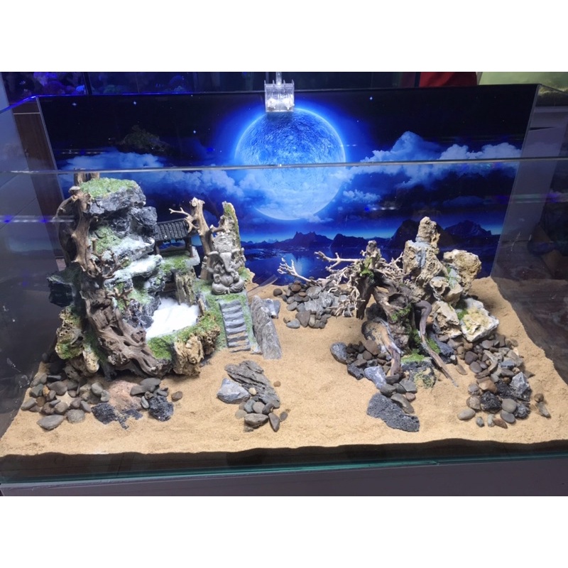 Tranh 3D hồ cá thuỷ sinh bán cạn - Chủ đề Ánh Trăng part 2