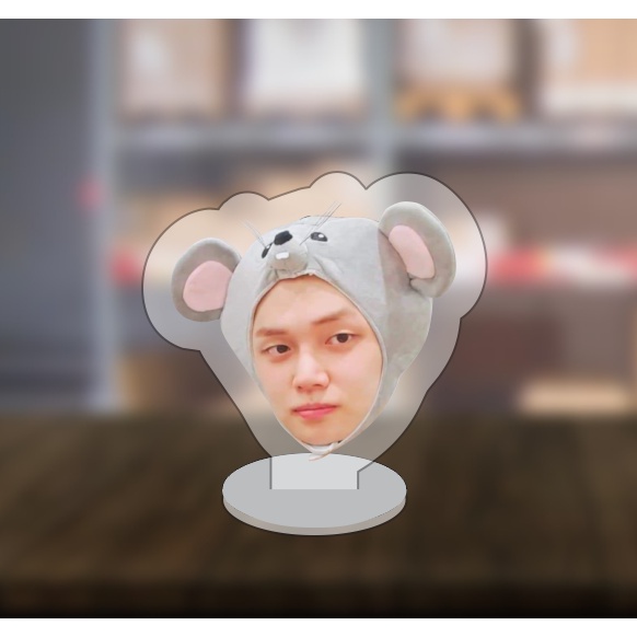 Mô hình nhân vật kpop