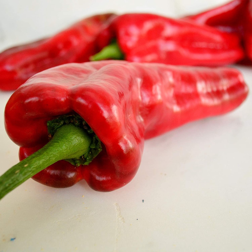 Ớt Đỏ JALAPENO Marconi - Giống Gia Truyền &amp; Thụ Phấn Mở, Hạt Giống Rau Trồng Hoa Kỳ, Không Biến Đổi gen