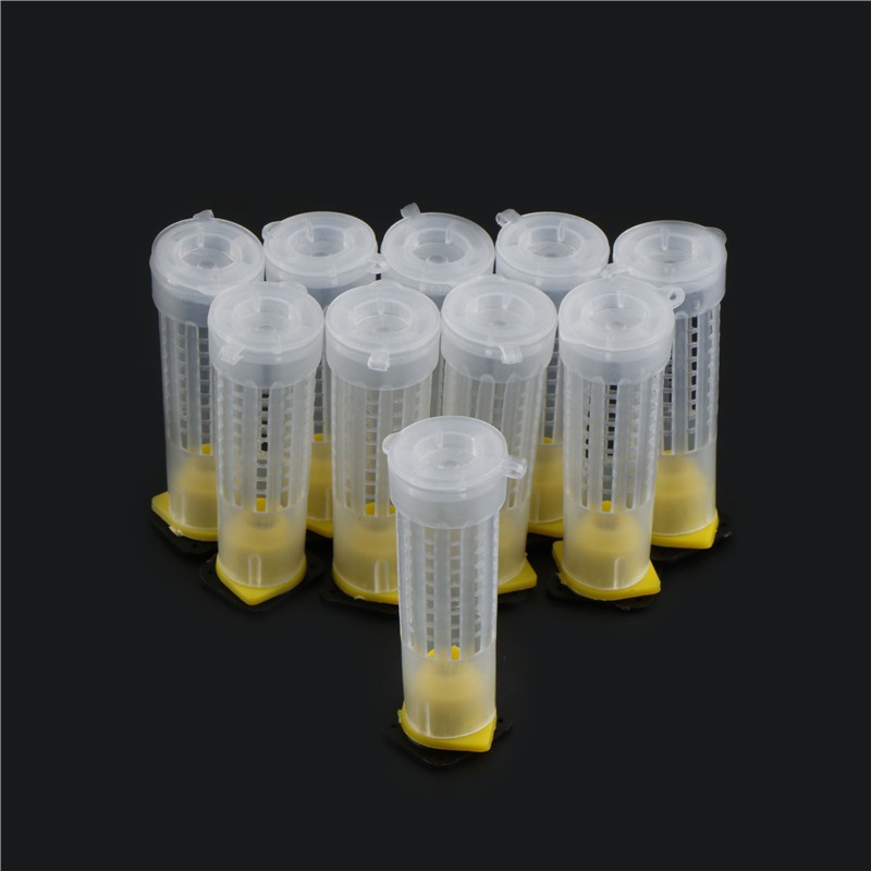 Set 10 Cốc Nuôi Ong Chúa Thiết Kế Dạng Con Lăn Tiện Lợi