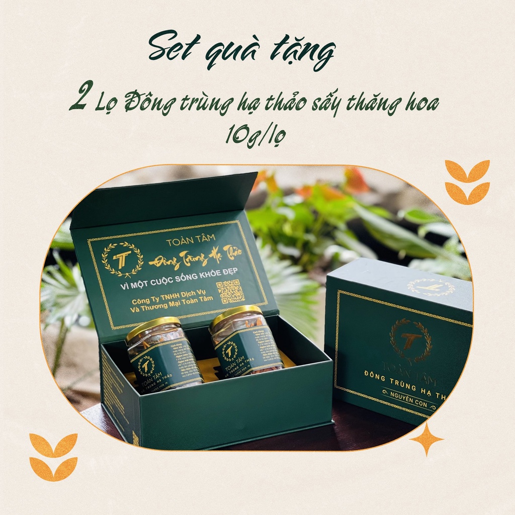 Set Quà Tặng Đông Trùng Hạ Thảo - Làm quà biếu, quà tặng Quốc tế Phụ Nữ 20-10, Ngày nhà giáo Việt Nam 20-11, Ngày Lễ/Tết