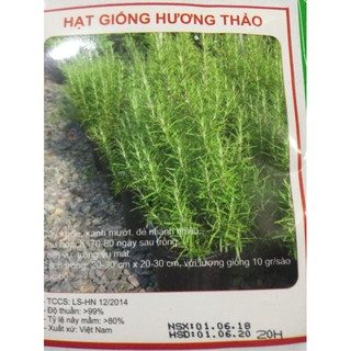 HẠT GIỐNG HƯƠNG THẢO nhập khẩu-  chuyên dụng.
