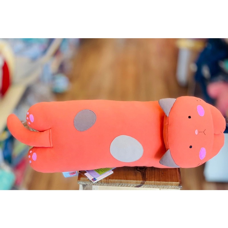 Mèo thun Hikosen Cara