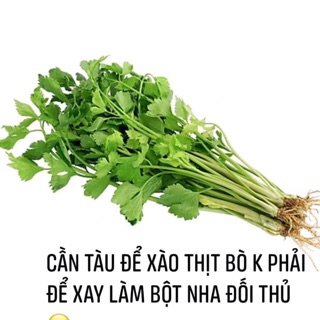 Combo 10 hũ bột cần tây sấy lạnh