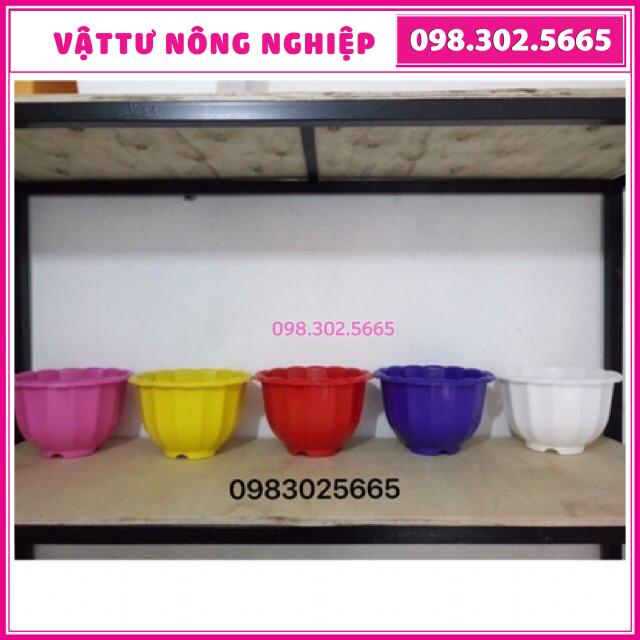 Combo 10 chậu nhựa đủ màu có dây treo đường kính 22cmx16cm trồng cây và hoa