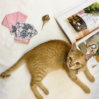 Set khẩu trang 2 cái cho người lớn