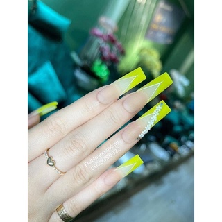 Móng Nối Thang Tre,Móng Tip Tre Nail