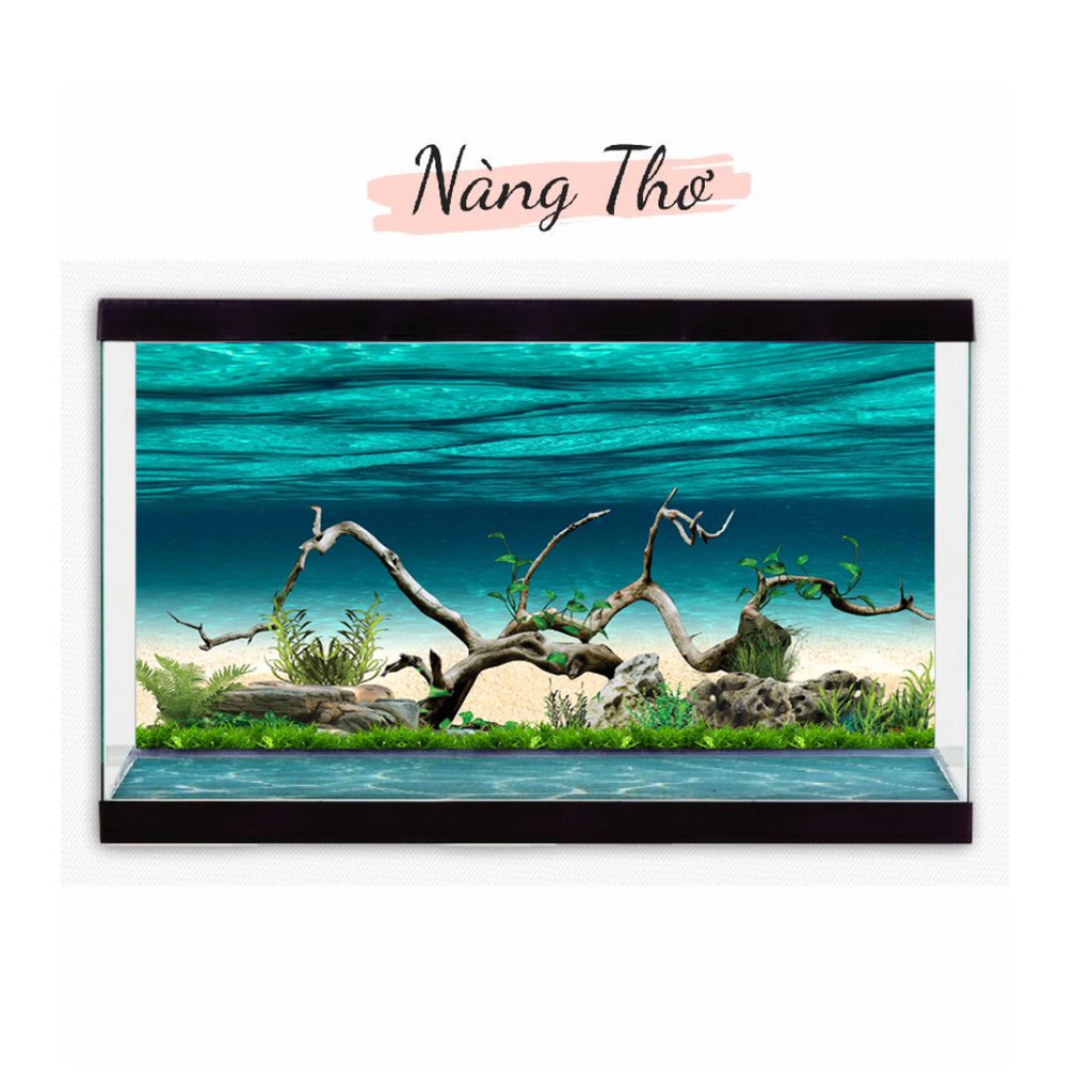 DECAL HỒ CÁ CÂY THUỶ SINH 3D_THIẾT KẾ NÀNG THƠ