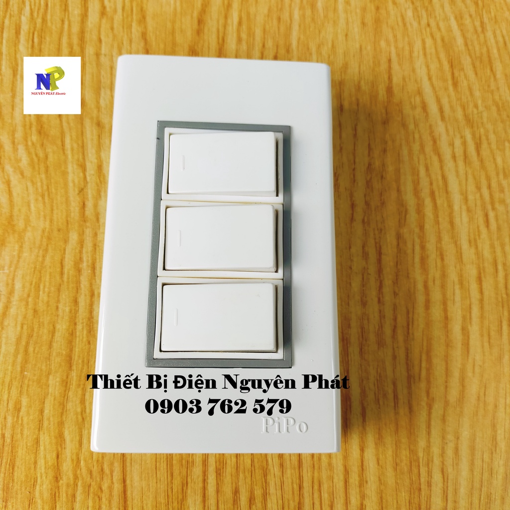 Taplo Giả Âm PIPO Ráp Sẳn PN10 - Hàng Cao Cấp