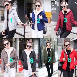 Set Cf Phương vải lanh