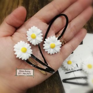 Set bộ kẹp cúc trắng họa mi