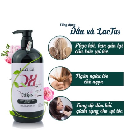 Cặp dầu gội xả LACTUS siêu mượt cho tóc khô xơ chính hãng 800ml CT11