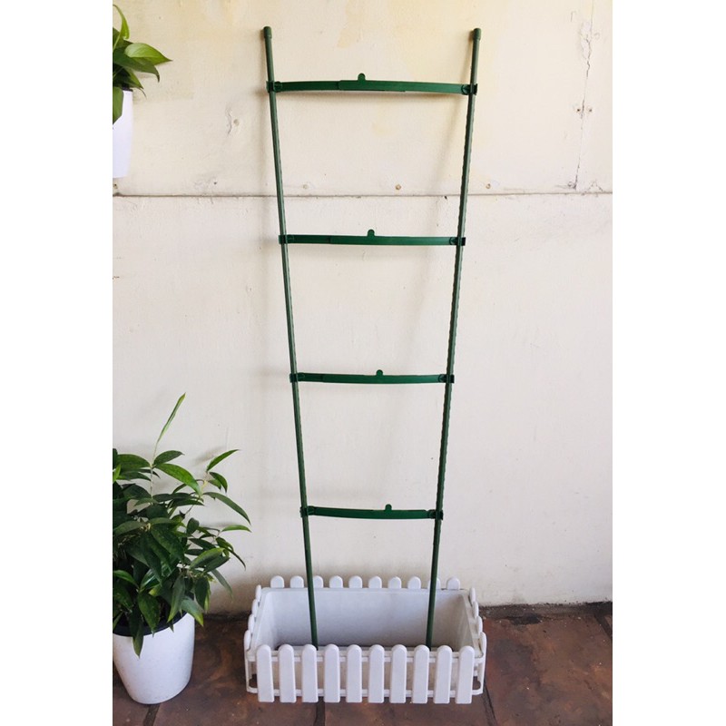 Bộ khung cho dây leo 120cm *30cm