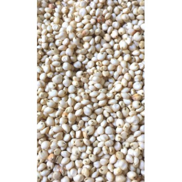 500g HẠT BO BO TRẮNG  CHO VẸT, PET