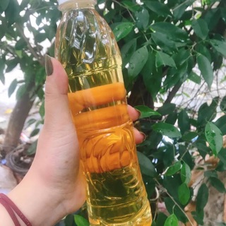 2 lít dầu dừa