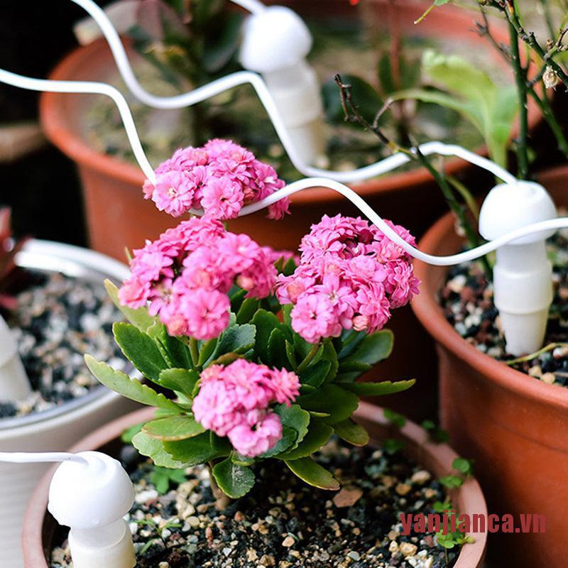 Set 4 Vòi Tưới Nước Nhỏ Giọt Tự Động Bằng Gốm