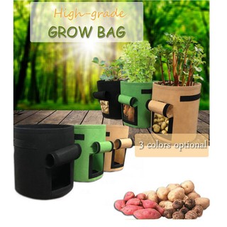 GROW GREEN BAG Chậu trồng cây, khoai củ vì môi trường 30x35cm (Bộ 2 chậu) 