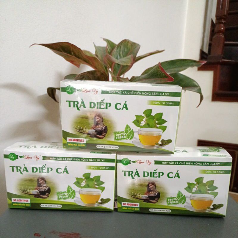 Trà Diếp Cá Lụa Vy