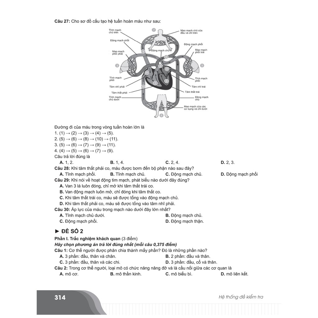 Sách - Bí quyết chinh phục điểm cao Sinh học 8 - NXB Đại học Quốc gia Hà Nội