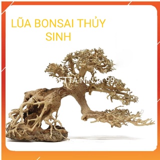 Lũa bonsai mini trang trí bể cá - bể thủy sinh