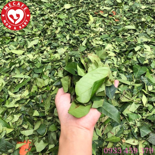 Lá trầu không + thảo dược xông rửa vùng kín