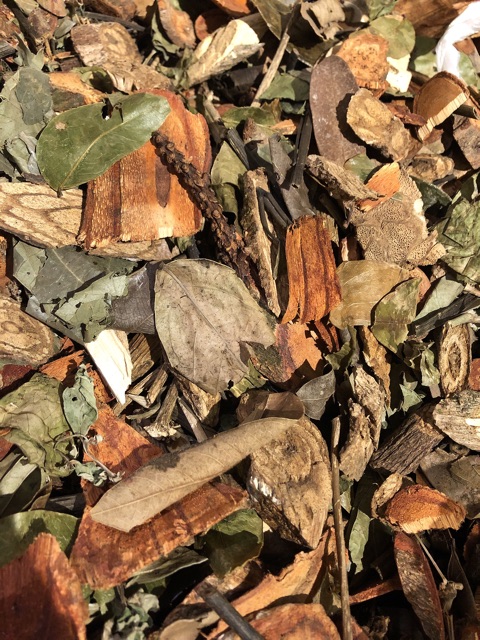 Lá Tắm sau sinh dân tộc Sapa Dao đỏ 1Kg chính gốc Tả Phìn