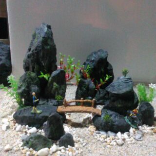 Tiểu cảnh hồ thuỷ sinh, tiểu cảnh mini gốc vườn