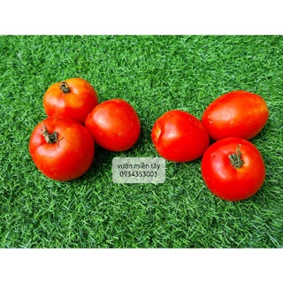Cà chua đà lạt - 500g, 1kg