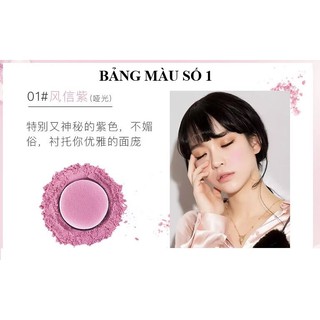 Phấn má hồng kèm cọ Feilinka