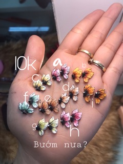Bướm bột nail _ Hoa bột nail