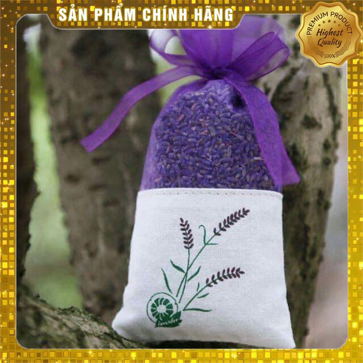 Nụ hoa lavender khô