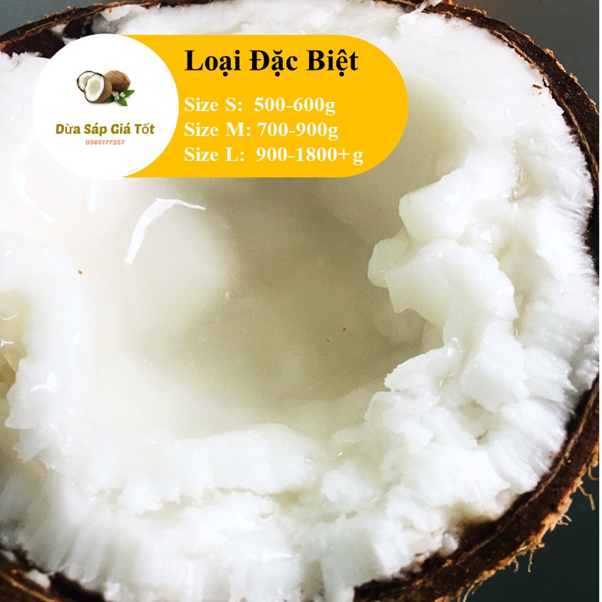 Dừa Sáp Trà Vinh 🌴 🌴  - Deal Hot Tháng 9 🔥 🔥 | BigBuy360 - bigbuy360.vn