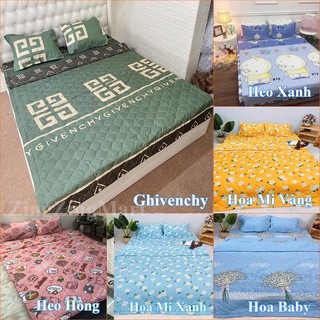 Chăn hè đẹp trần bông cotton poly sét 5 món (Được lựa mẫu)