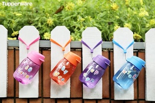 Bình nước cho bé Tupperware Mini Lohas