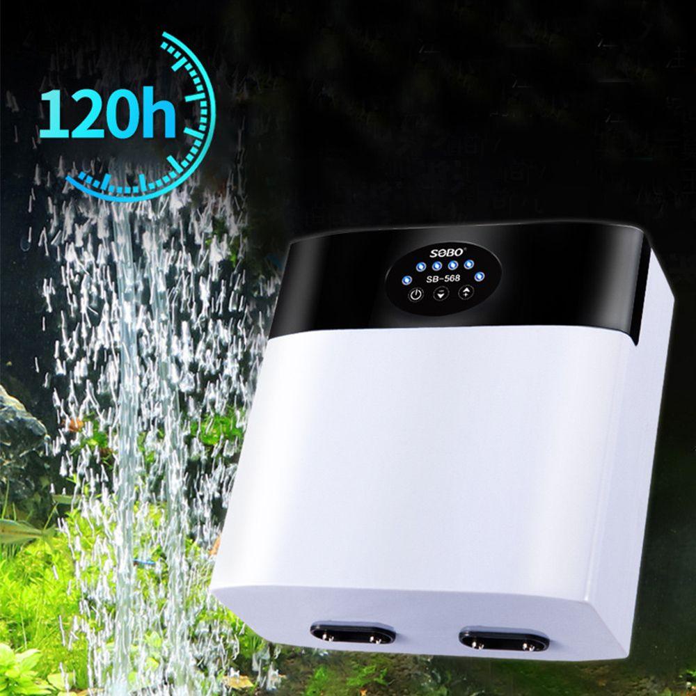 Máy Bơm Oxy Chuyên Dụng Cho Bể Cá