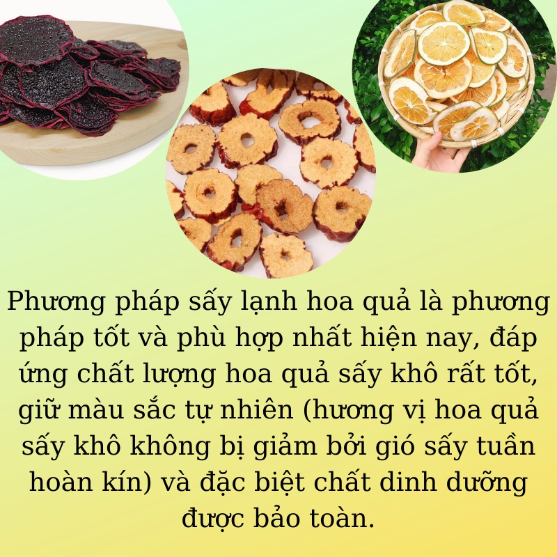 Táo đỏ thái lát sấy lạnh - Trọng lượng 200 gram