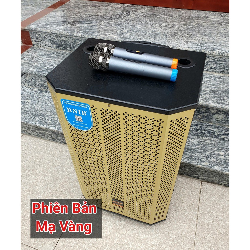 Loa kéo bass 40 hay nhất trong tầm giá – hàng chính hãng BNIB 1599