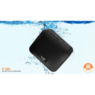 Loa di động SoundMax R-300
