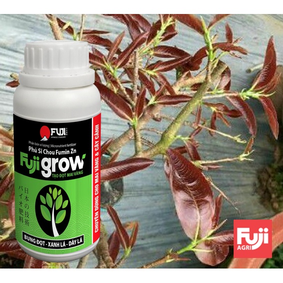 Phân bón mai vàng bung đọt FUJI GROW Japan 250ml