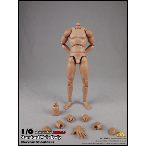 mô hình 1/6 body cơ thể nam bd001, loại 25 cm, cổ rời