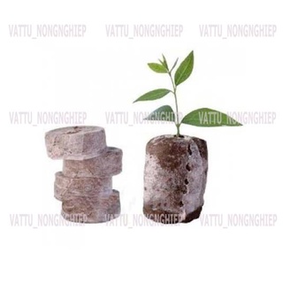 60 viên nén ươm hạt kích thích nảy mầm nhanh