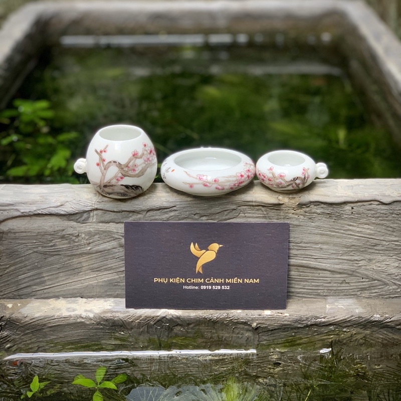 Cóng chim vẽ tay HOA - Cửu Chính Đường