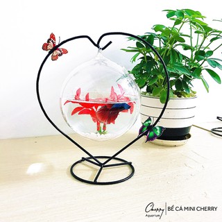 Hồ cá mini trái tim 26 CỠ TO để bàn ( Tặng kèm combo phụ kiện trang trí )